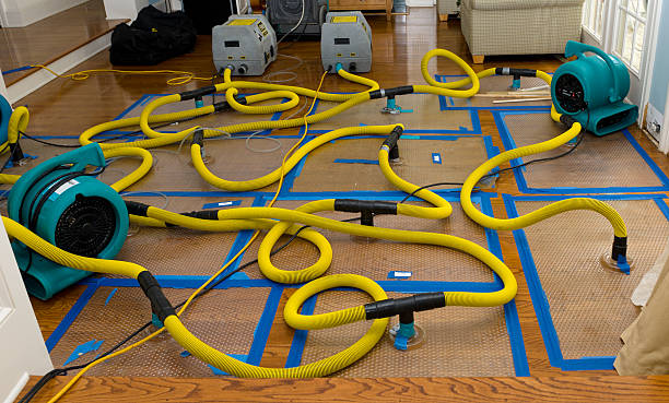 Professional Structural Drying And Dehumidification technician working in Martinsville, IL